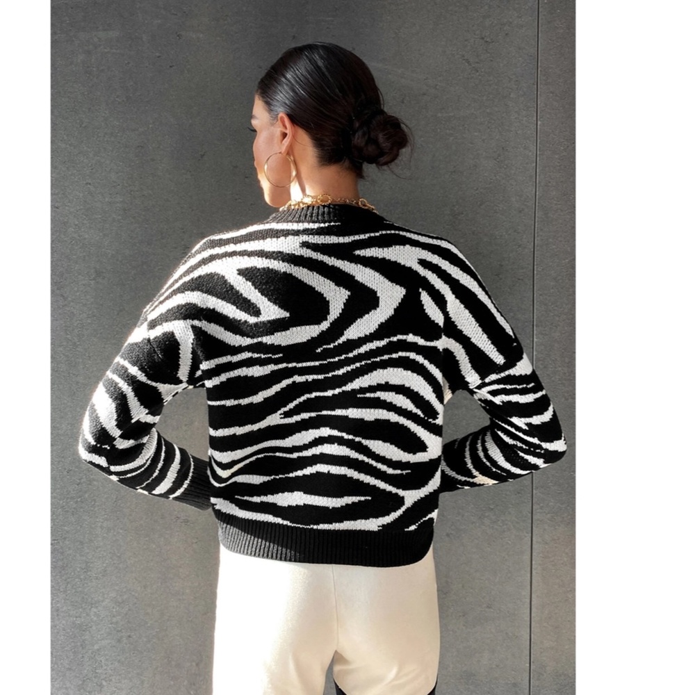 Black & White Zebra Stripe Pullover Sweater Round Neck Long Sleeve Drop Shoulder - Picture 4 of 8